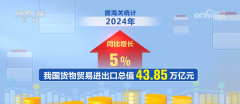 <strong>2024年我国外贸进出口成就亮眼 新动能加</strong> <strong>2024年我国外贸进出口成就亮眼 新动能加</strong>